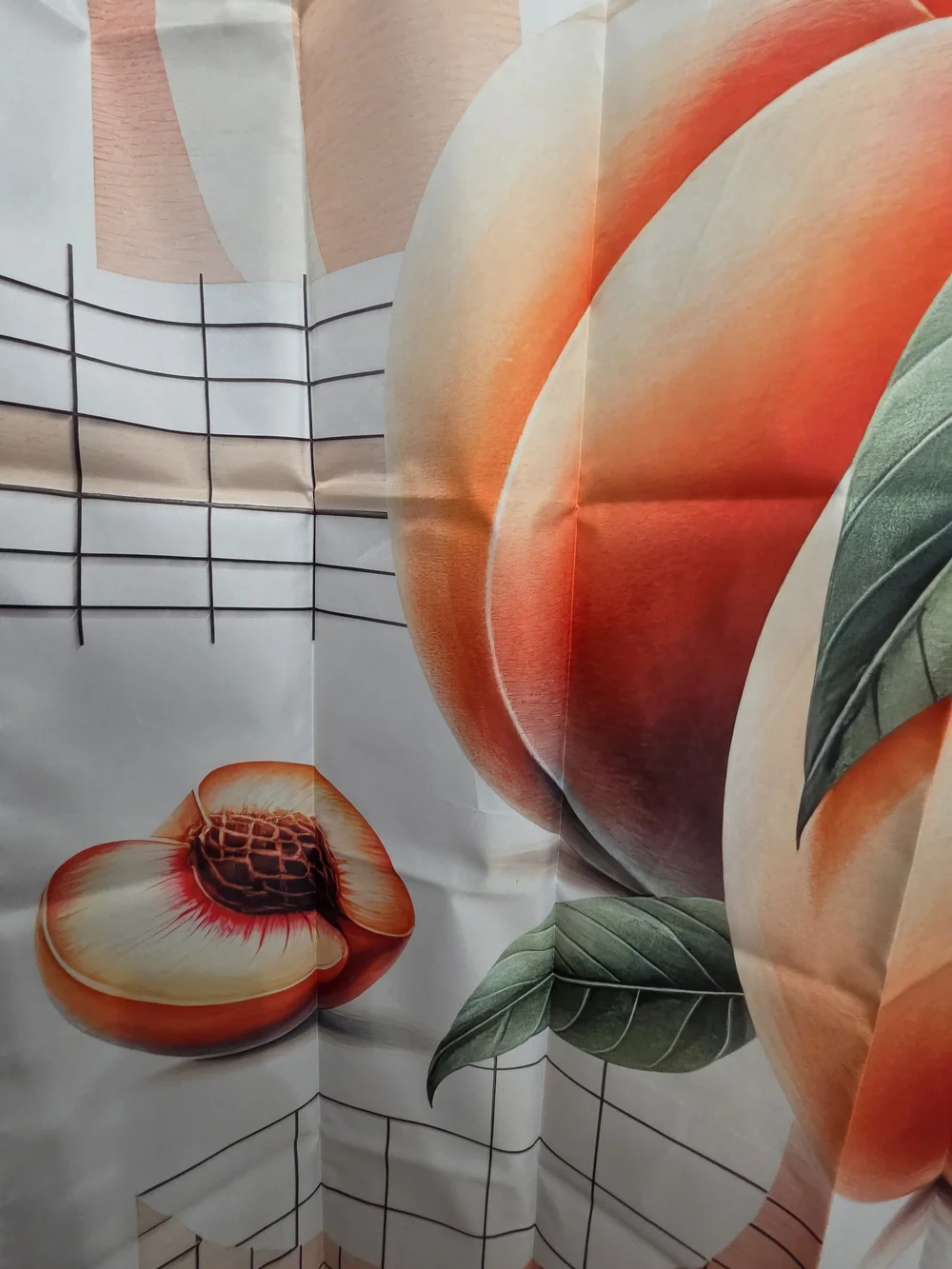 NWOT Water Resistant Fabric Peach Print Shower Curtain
